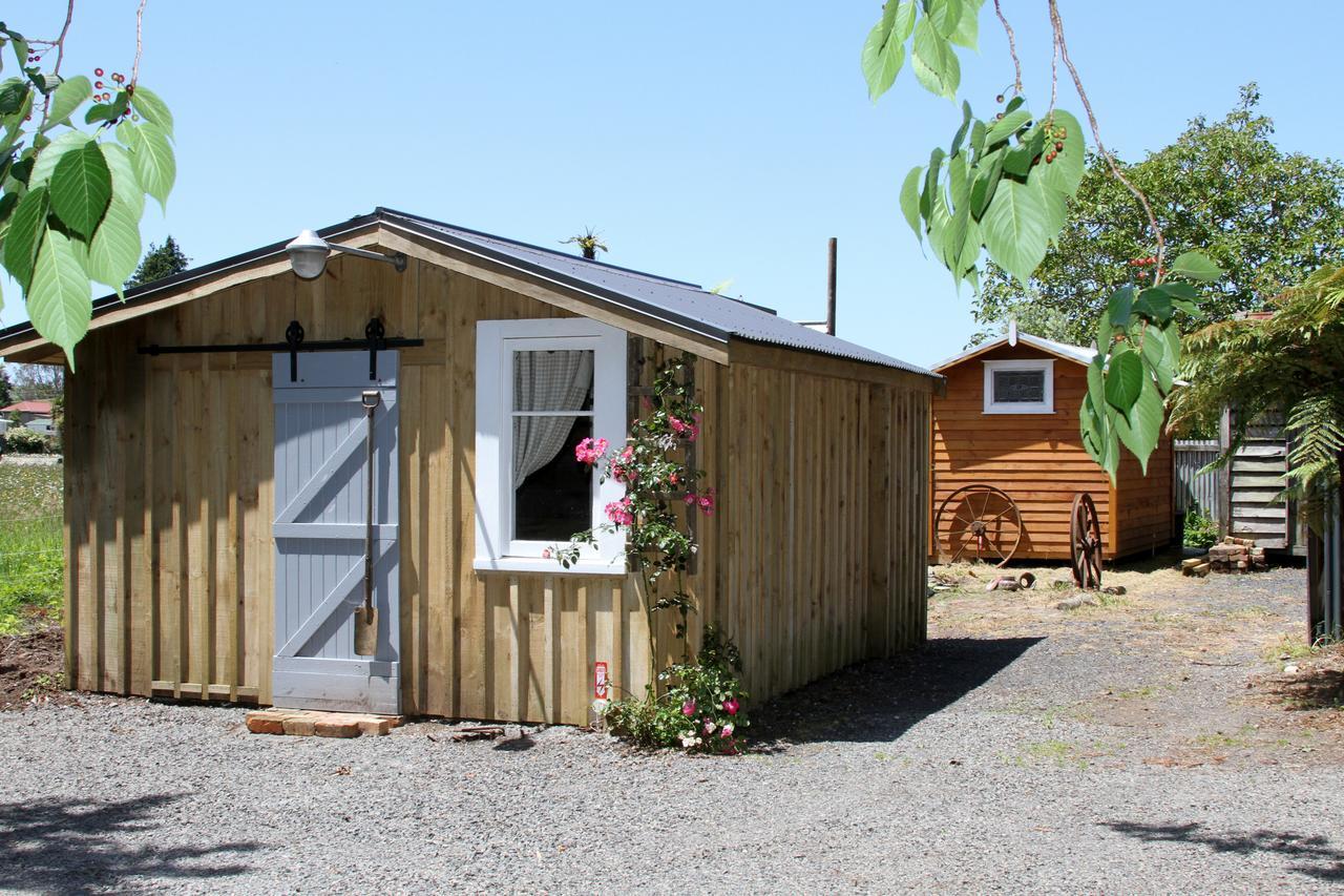 The Log Cabin & Packing Shed Villa Waihi Exterior photo